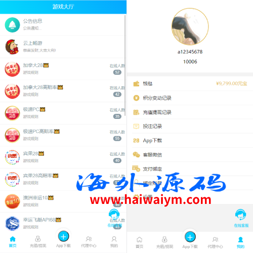java旗舰28系统/cp游戏/28竞猜游戏/自动机器人